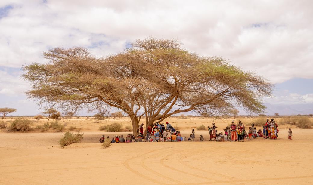 Renforcer la réponse sanitaire pour les populations touchées par la sécheresse au Kenya