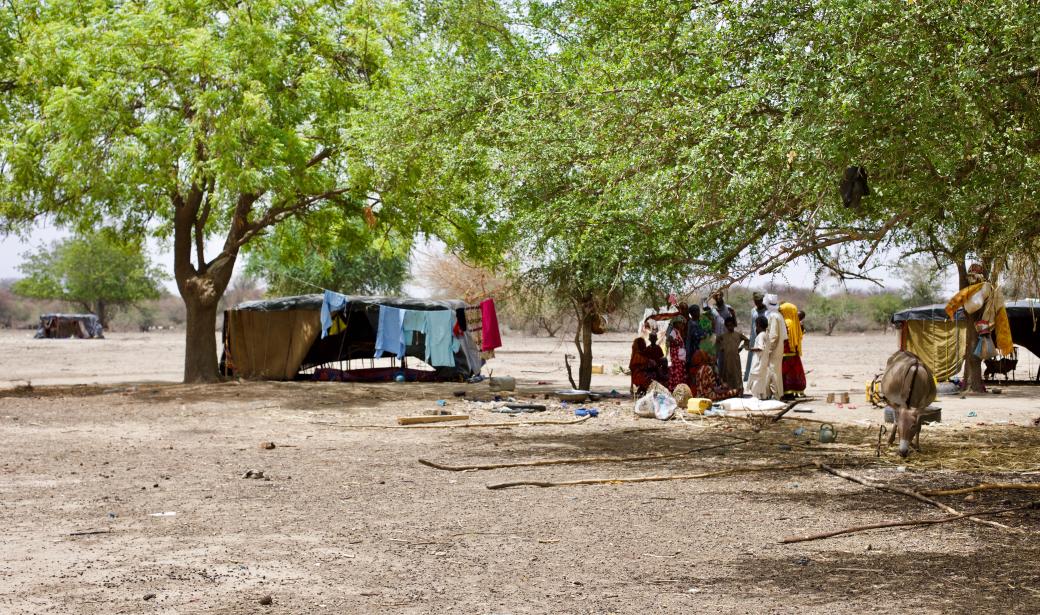 Local-level planning gives Chad’s nomadic children polio protection