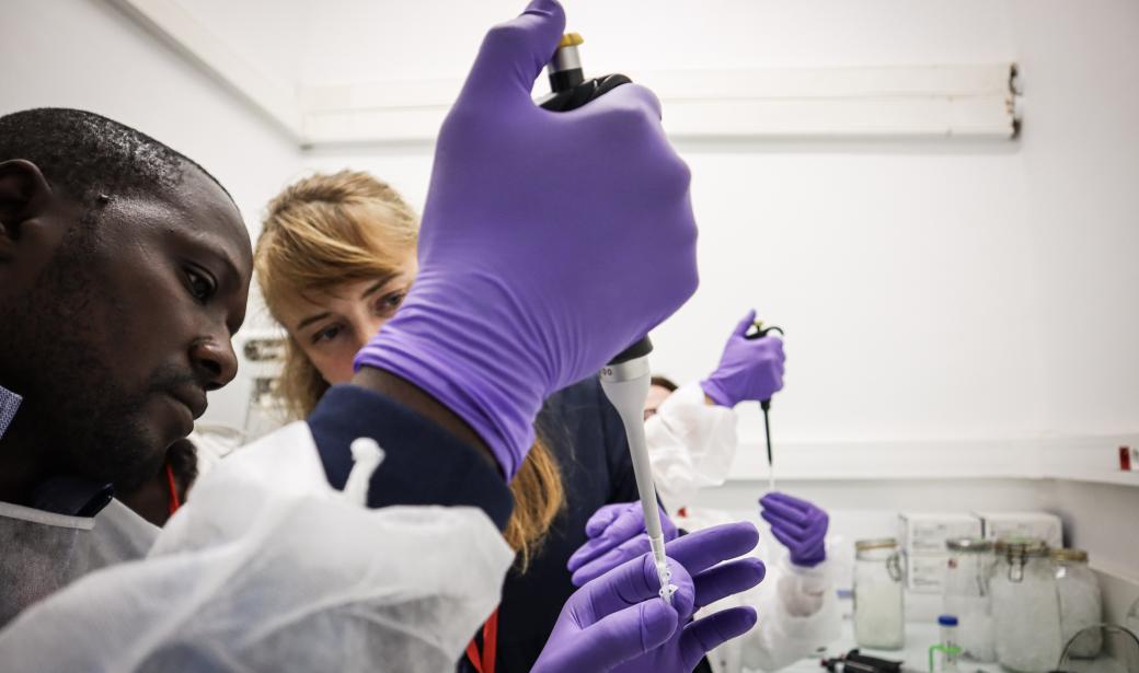 De la collecte des échantillons à l'analyse en laboratoire