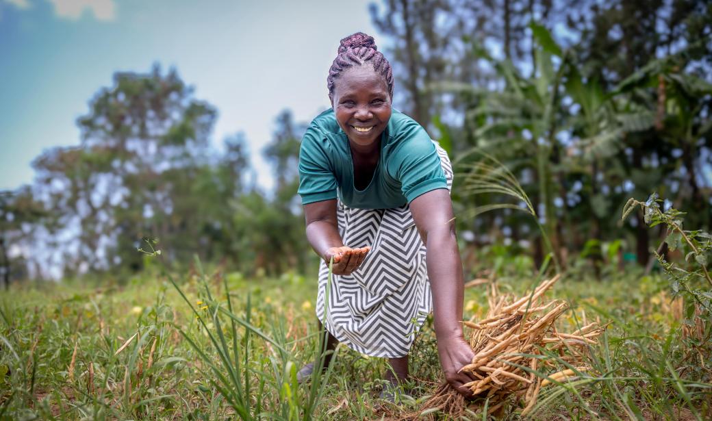 Improving the quality of life of former tobacco farmers in Kenya