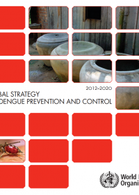 Global Strategy for dengue prevention and control, 2012–2020