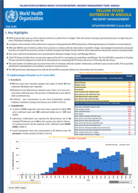 Situation Report: Yellow fever outbreak in Angola