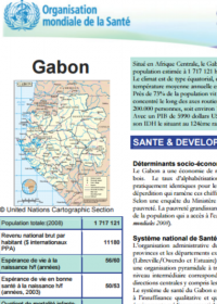 Un aperçu de la Stratégie de Coopération: Gabon