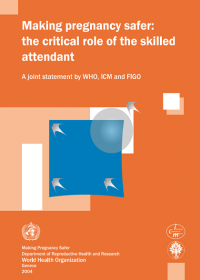  Making pregnancy safer: the critical role of the skilled attendant 