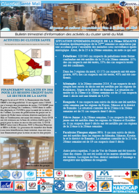 Bulletin trimestriel d’information des activités du cluster santé du Mali. 