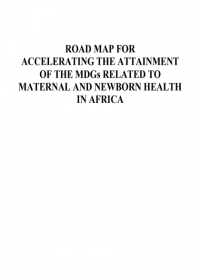  Road map for accelerating the attainment of the MDGs related to maternal and newborn health in Africa 