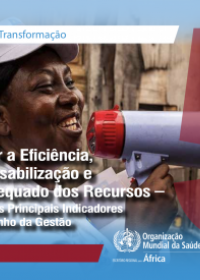 Agenda de Transformação, 5.a Série: Promover a Eficiência, a Responsabilização e o Uso Adequado dos Recursos - a História dos Principais Indicadores do Desempenho da Gestão