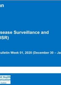 South Sudan weekly disease surveillance bulletin 2020