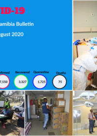 WHO Namibia COVID-19 May to August 2020 Bulletin 