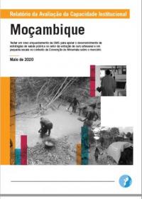 ASGM Mozambique ICA Report 11052020_PT v2-1
