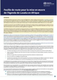 Roadmap for Implementation of the Lusaka Agenda in Africa_FR