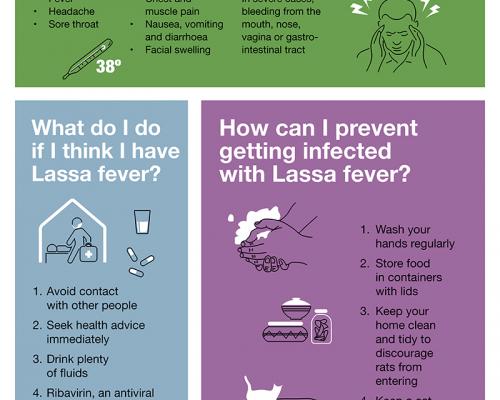 Image result for lassa fever