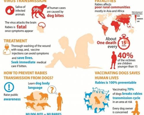 Who Joins International Calls To Invest More In Defeating Human Rabies Transmitted By Dogs Who Regional Office For Africa